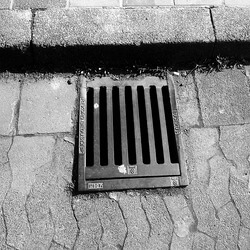 a grate covering a drain or a catch basin